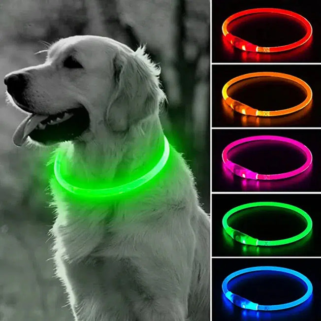 Keep your furry friend safe during nighttime walks with our LED dog collar. This luminous USB cat and dog collar features three modes of LED light, ensuring optimal visibility and preventing loss