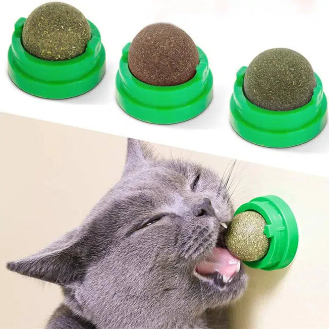 WhiskerPlay Catnip Wall Toy Kit: Engage, Delight, and Nurture with Interactive Fun, Digestive Support, and Healthy Rewards