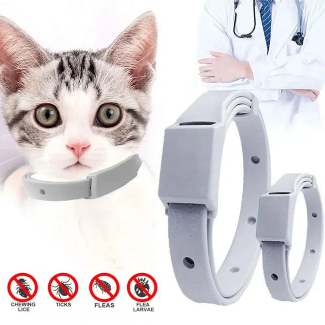 Protect your small dog or cat from fleas and ticks with our anti-parasitic collar