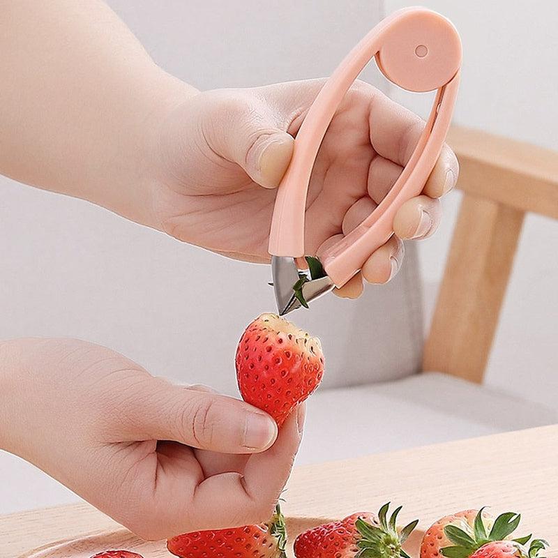Stainless Steel Peeler | Fruit and Vegetable Practical Seed Remover Clip | Kitchen Tools