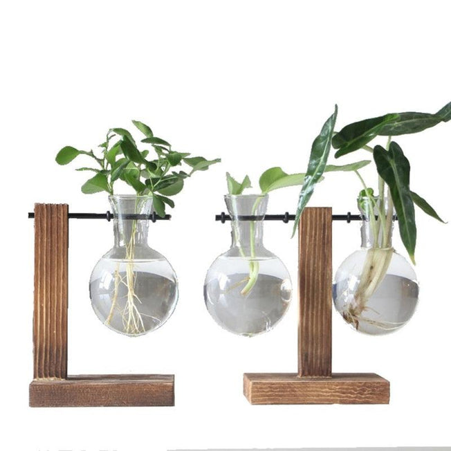 Vintage Glass Hydroponic Desktop Plant Vase | Wooden Tray | Tabletop Decoration | Home Decor