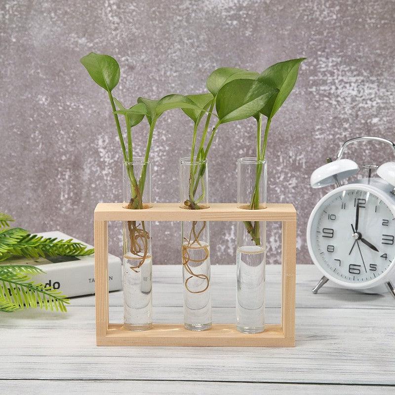 Glass & Wood Vase Planter | Tabletop Hydroponic Plant Bonsai | Hanging Flower Pot with Wooden Tray