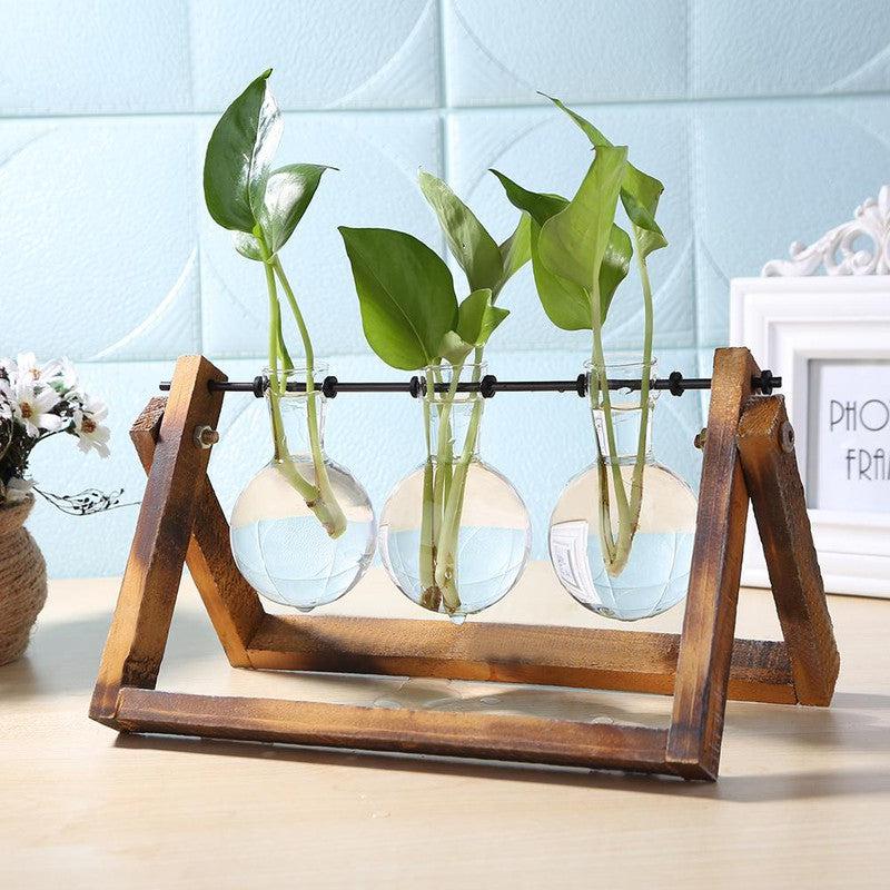 Glass & Wood Vase Planter | Tabletop Hydroponic Plant Bonsai | Hanging Flower Pot with Wooden Tray