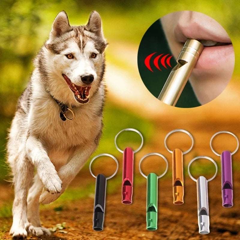 Outdoor Training Whistle | Dogs Repeller & Anti-Bark Pet Training Flute | Pet Supplies & Accessories