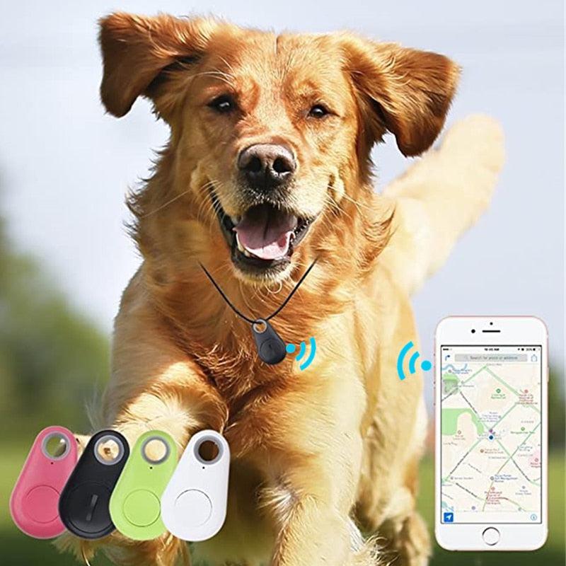 Pet Smart GPS Tracker | Mini Anti-Lost Bluetooth Locator for Dogs, Cats, Kids, Car, Wallet and Keys | Pet Collar Accessories