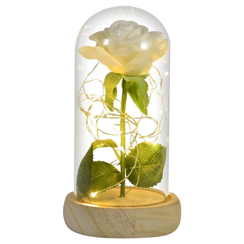 Beauty and The Beast Inspired Preserved Roses In Glass | LED Light | Mothers Day Gift