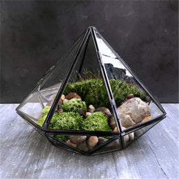Sleek Diamond-Shaped Glass Terrarium | Trendy Jet-Black Geometric Glass Enclosure for Flora & Moss | Contemporary Interior Decoration