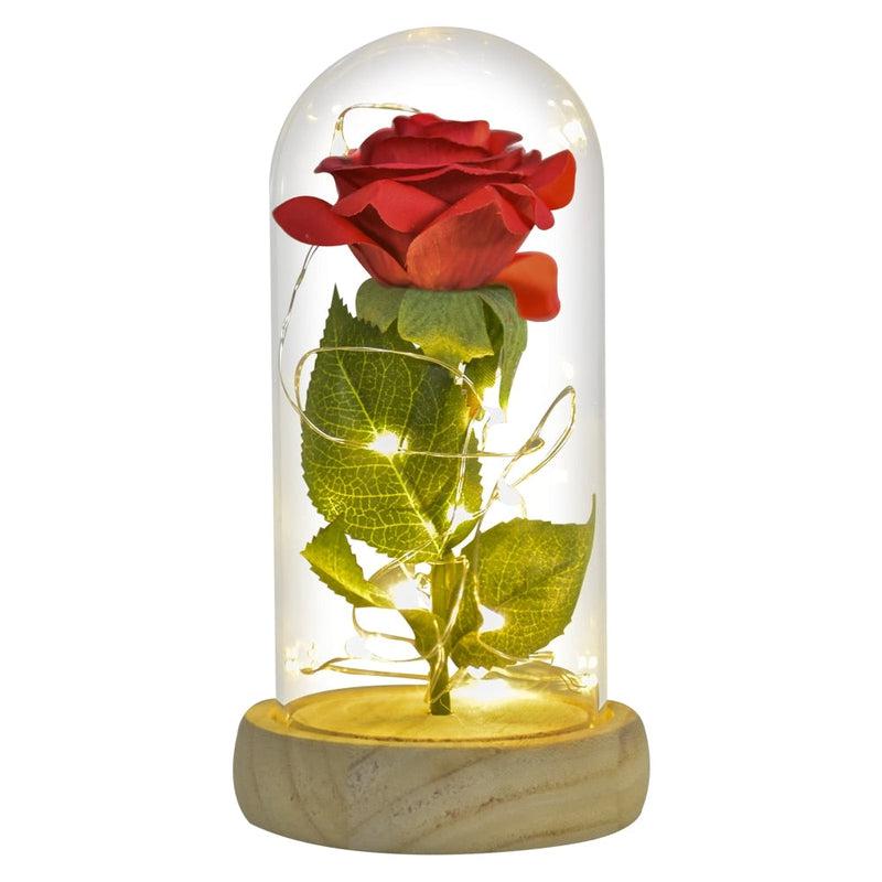 Beauty and The Beast Inspired Preserved Roses In Glass | LED Light | Mothers Day Gift