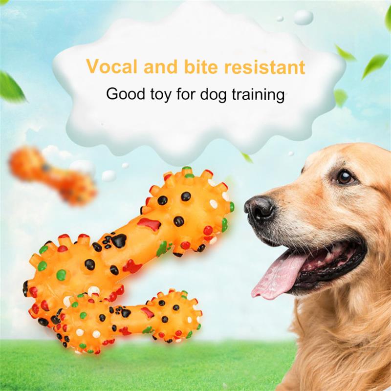 Bone Shaped Training Dog Voice Toy | Squeaky Pet Chew Toy for Training & Play Time